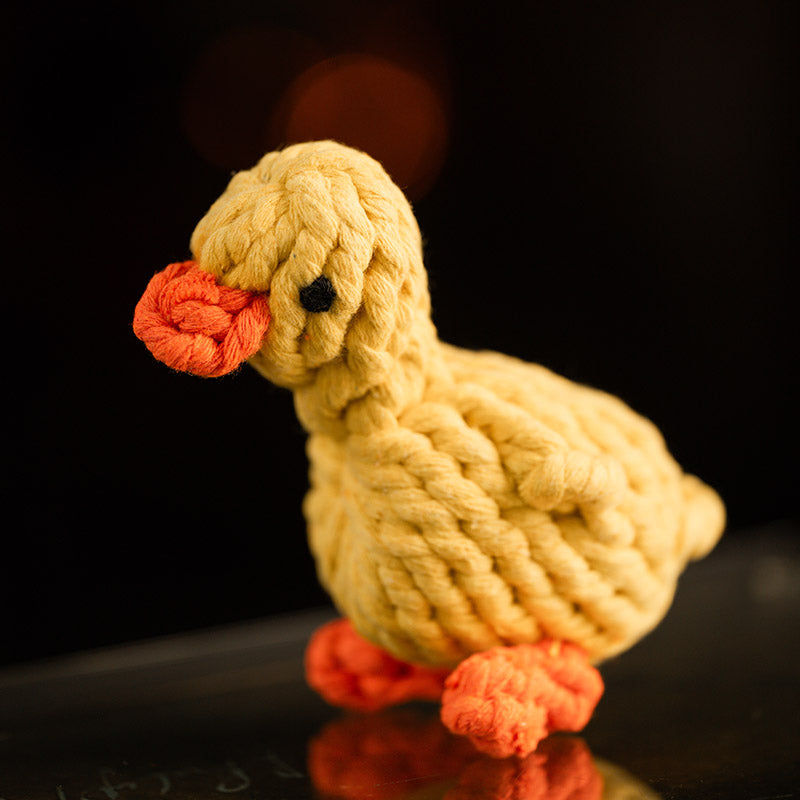Galgorm Duck Dog Toy