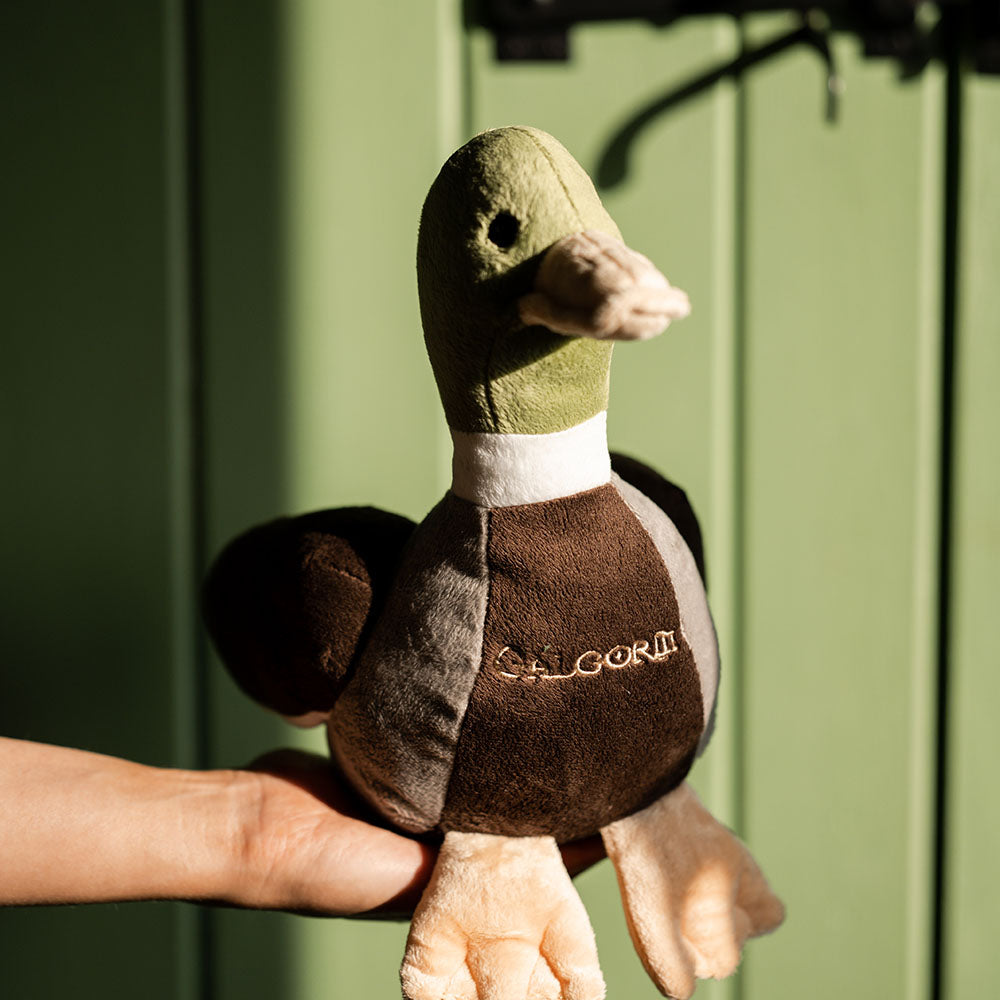 Darcy Duck - Galgorm Soft Toy